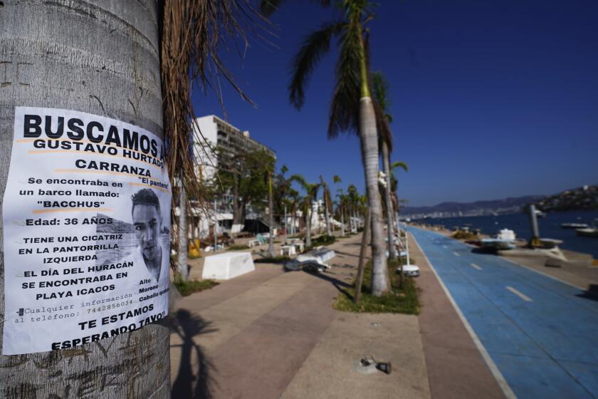 Un letrero de persona desaparecida pegado a un árbol, el domingo 12 de noviembre de 2023, en Acapulco, México. (AP Foto/Marco Ugarte)