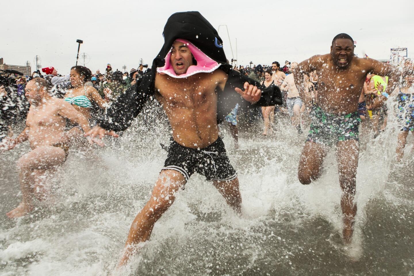 Polar bear plunge