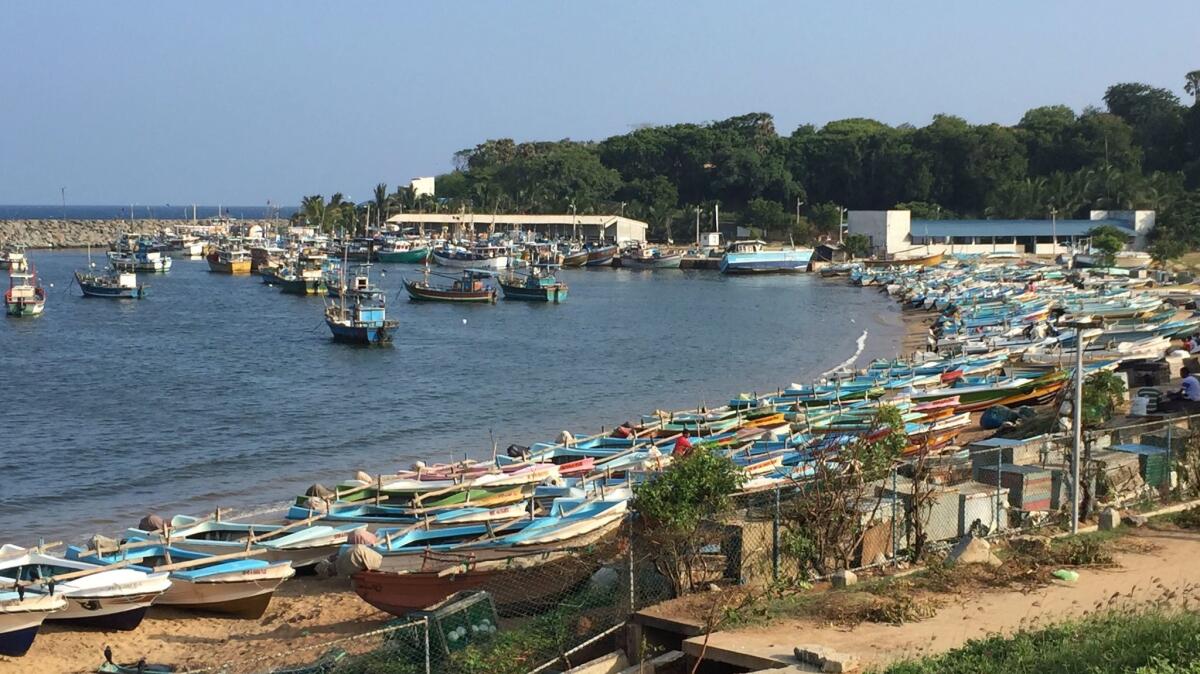 Fishing boats line the beach in downtown Hambantota, Sri Lanka.