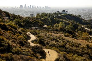 LOS ANGELES, CA - NOVEMBER 11: Several trails feed into the Mt Hollywood Trail leading to the peak of Mount Hollywood at 1,625 ft which is the second tallest peak in Griffith Park. The trails provide amazing views of the Griffith Observatory, downtown Los Angeles, the Hollywood Sign and views to the Pacific Ocean on clear days. much more. There are many trails that lead to Mt. Hollywood, but a favorite trail begins near the Ferndell Nature Area. Griffith Park on Thursday, Nov. 11, 2021 in Los Angeles, CA. (Al Seib / Los Angeles Times).
