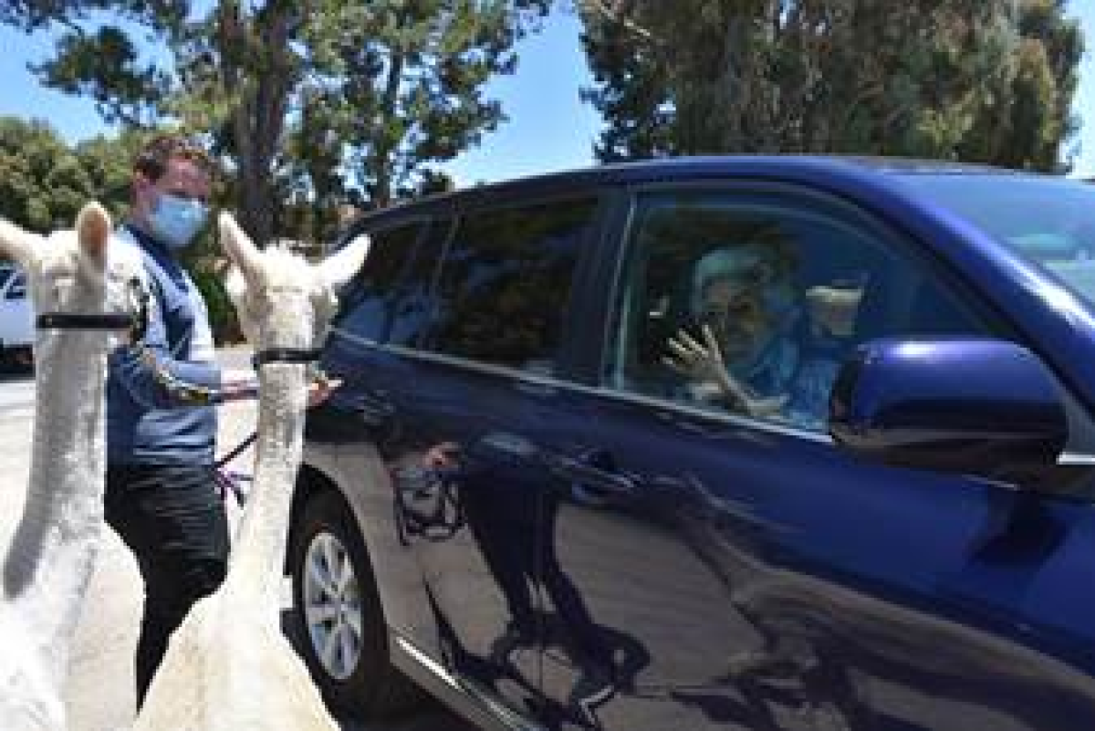 Kronk and Kuzco greet clients from Alzheimer’s San Diego.