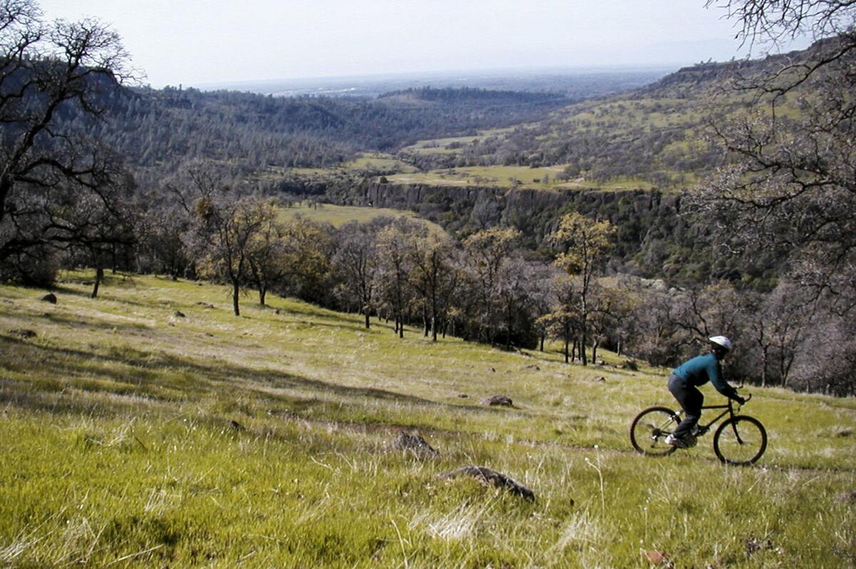 Bidwell Park mountain biking high over Chico, Calif.