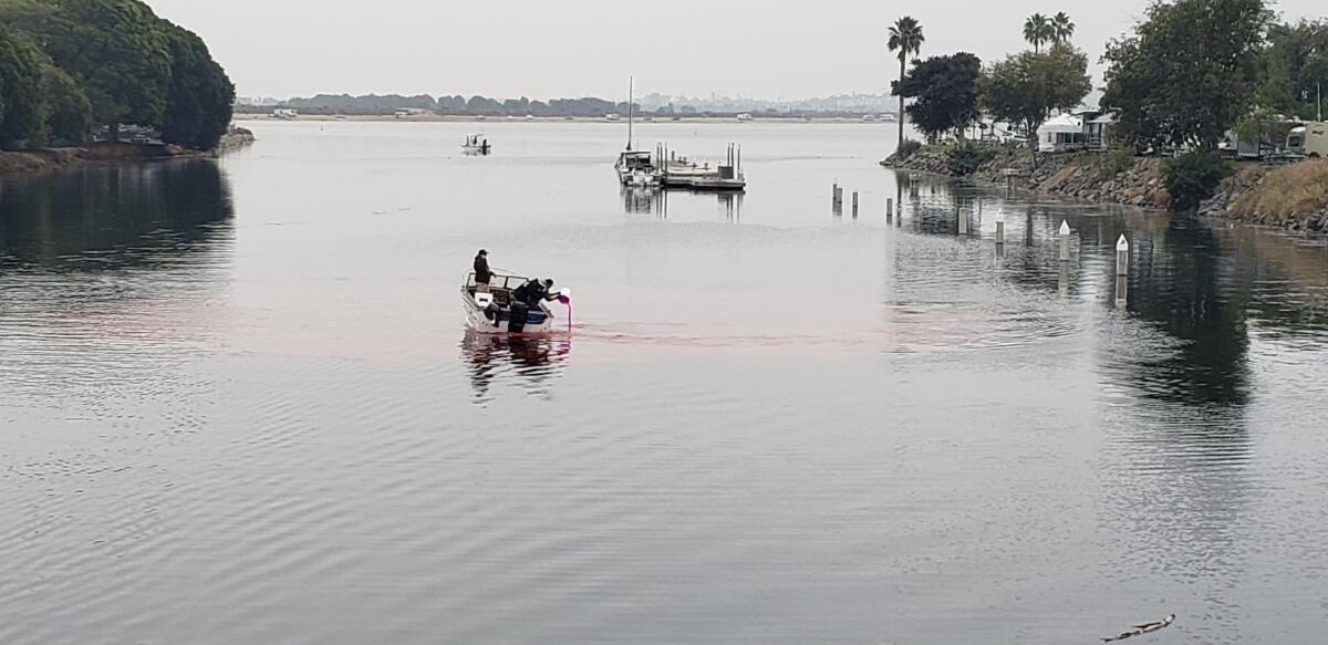 Trabajadores municipales vierten colorante rojo no tóxico en Mission Bay desde un barco
