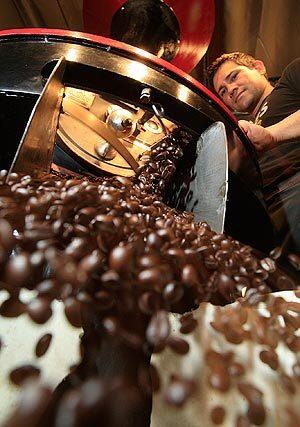 Rafael Aguiar, master roaster, watches pacamara beans from El Salvador come out of the machine at Jones Coffee Roasters in Pasadena.