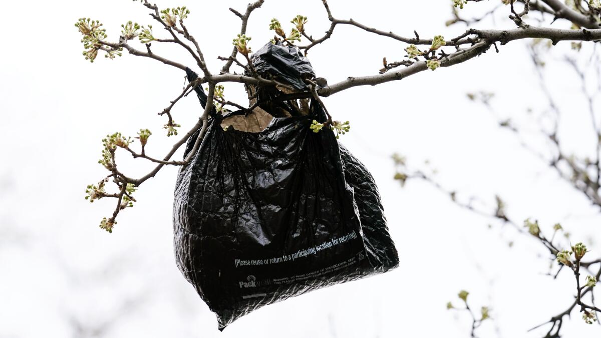 Are your paper leaf bags rotting before the city picks them up? Temporarily  cover them with plastic bags to keep rain out. : r/lifehacks