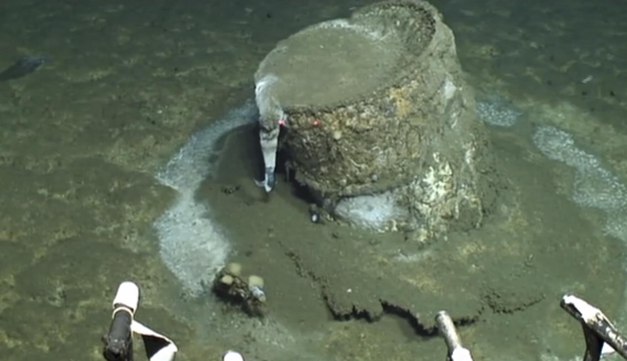 A corroded, partially buried steel drum rises from the ocean seafloor. 