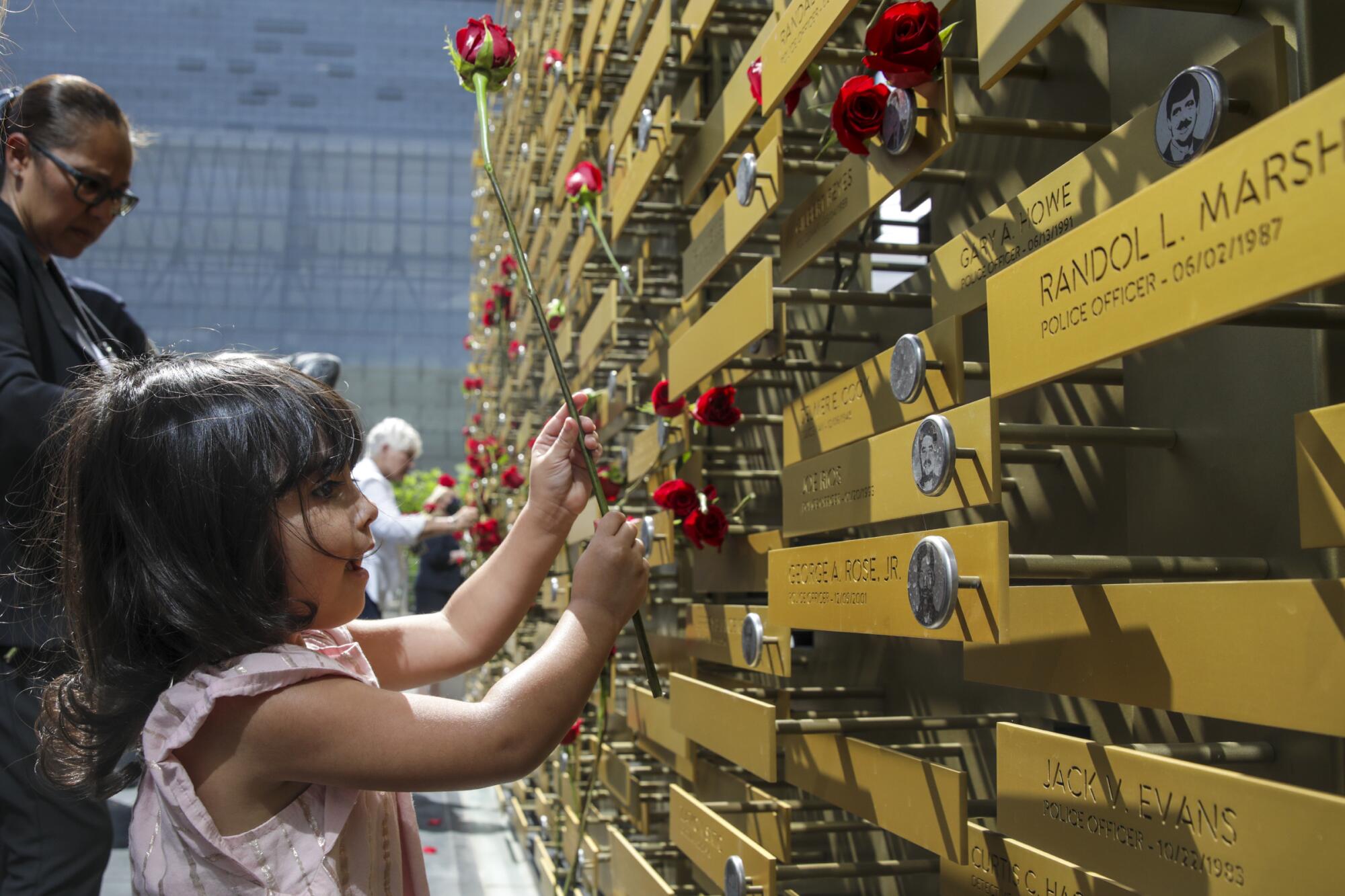 A young girl places a flower at a memorial 