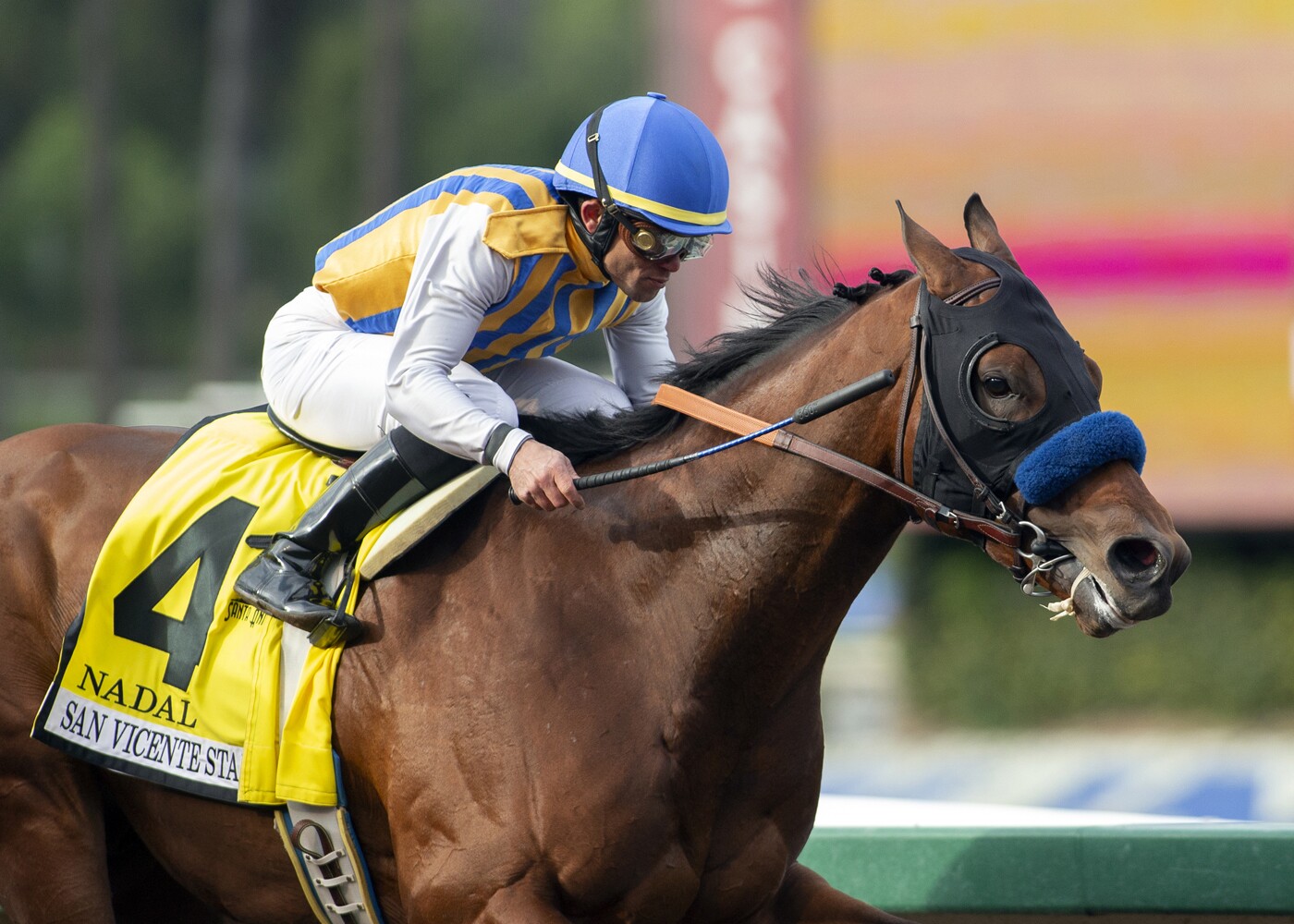 What Does Outright Betting Mean In Horse Racing What Does Outright Betting Mean In Horse Racing