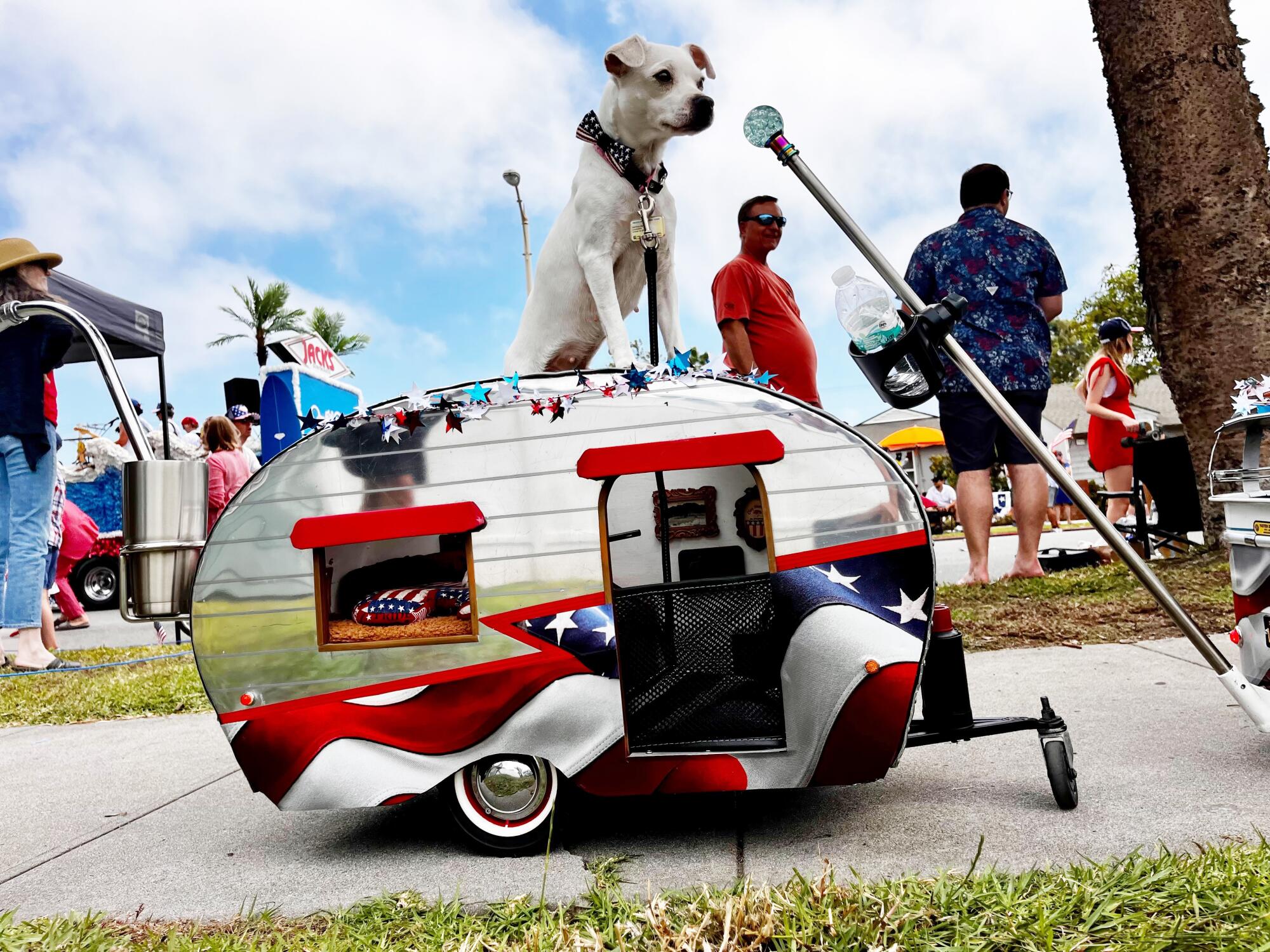 A dog pops his head out of a mini camper along the parade route in Huntington Beach.
