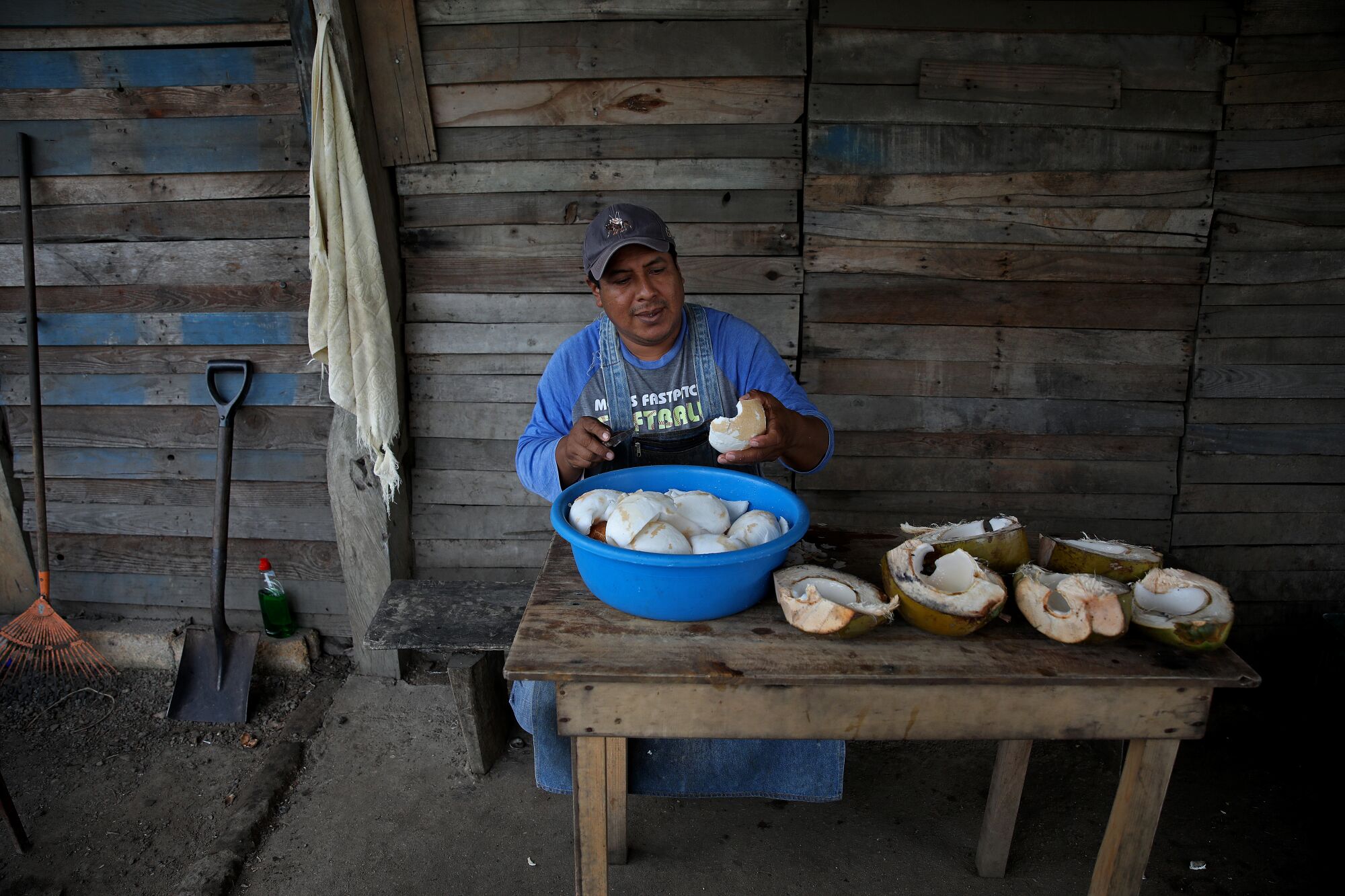 Un hombre se sienta en una mesa con cocos a la venta.