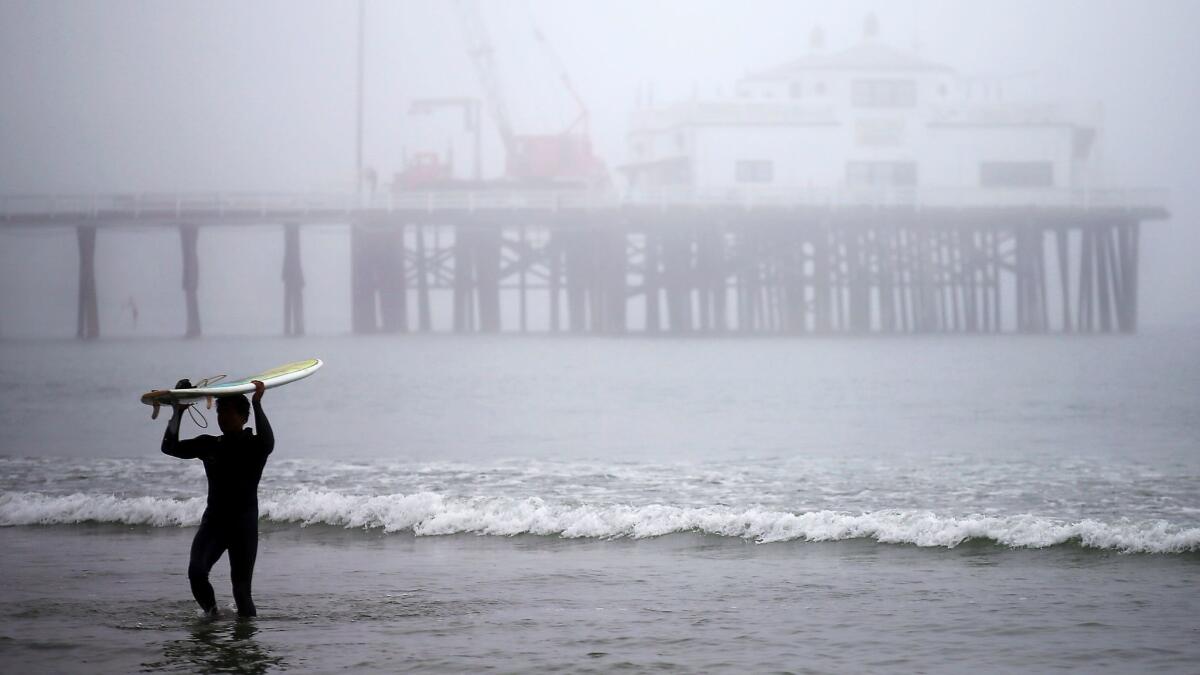A surfer carries his board in the fog at Surfrider Beach in Malibu, which has declared itself a sanctuary city for immigrants who are in the country illegally. (Luis Sinco / Los Angeles Times)