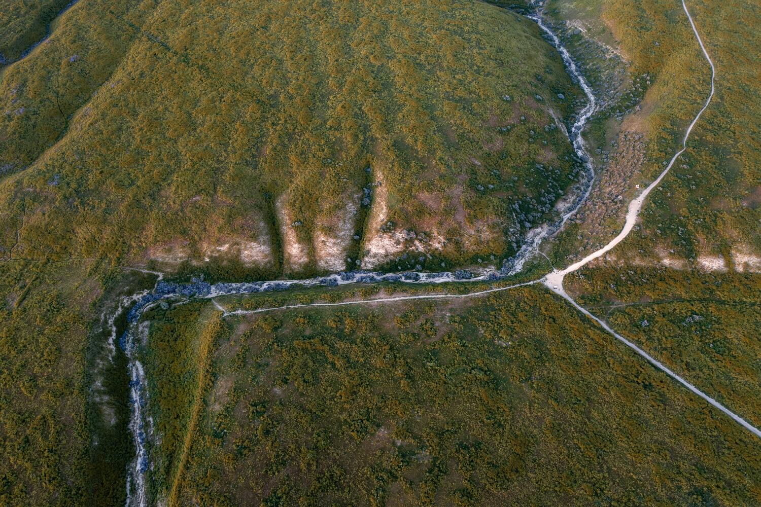 SANTA MARGARITA, CA - APRIL 14: In an aerial view, the course of Wallace Creek is altered by the San Andreas Fault as part of it is on the Pacific and the other on the North American tectonic plates, which are slipping at a rate of 1.3 inches, or 34 millimeters, per year at Carrizo Plain National Monument on April 14, 2023 near Santa Margarita, California. Spectacular wildflower blooms, referred to by some as a