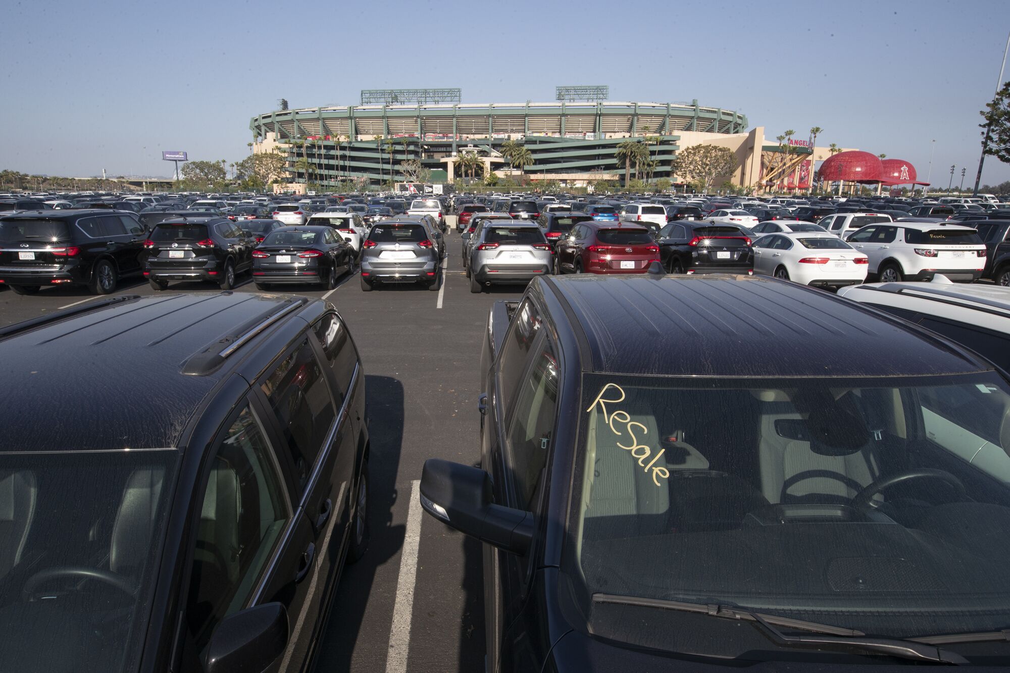 Rental cars sit idle at Angel Stadium.