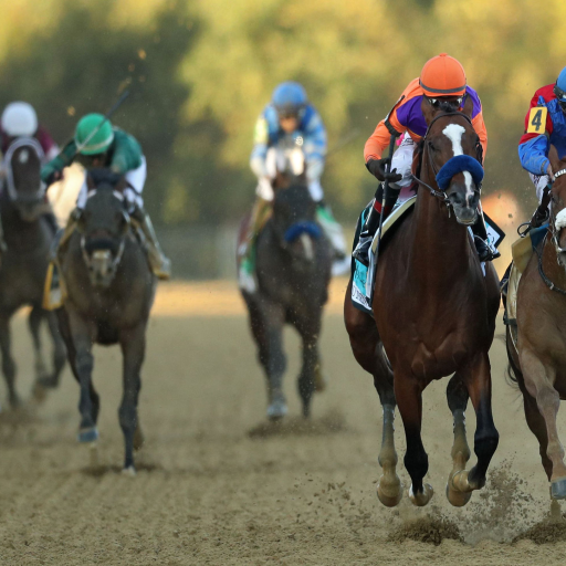 Jockey Robby Albarado riding filly Swiss Skydiver, right, finishes ahead of Authentic to win the 145th Preakness Stakes.