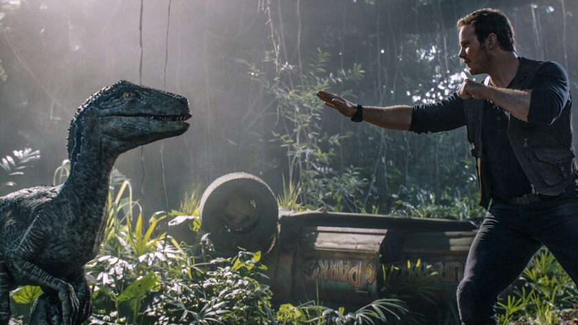 Chris Pratt encounters the velociraptor Blue in the movie "Jurassic World: Fallen Kingdom."