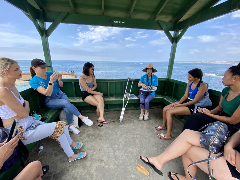 Beauty and the beach: Miss Earth USA participants finish mission trip in La Jolla - La Jolla Light 2 Seal Society docent Robyn Davidoff explains the anatomy of harbor seals to Miss Earth USA participants.