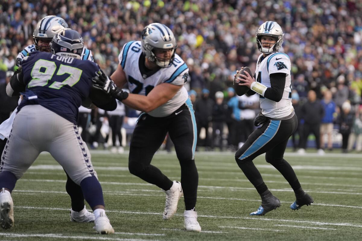 Carolina Panthers quarterback Sam Darnold steps back to pass against the Seattle Seahawks.