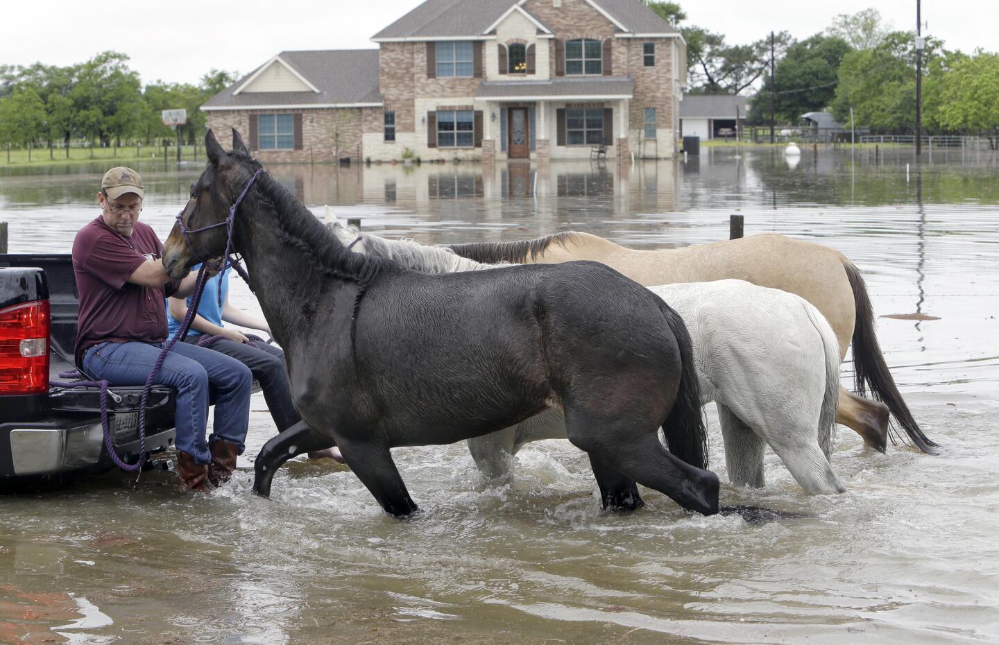Heavy rains, flooding, inundate Houston area