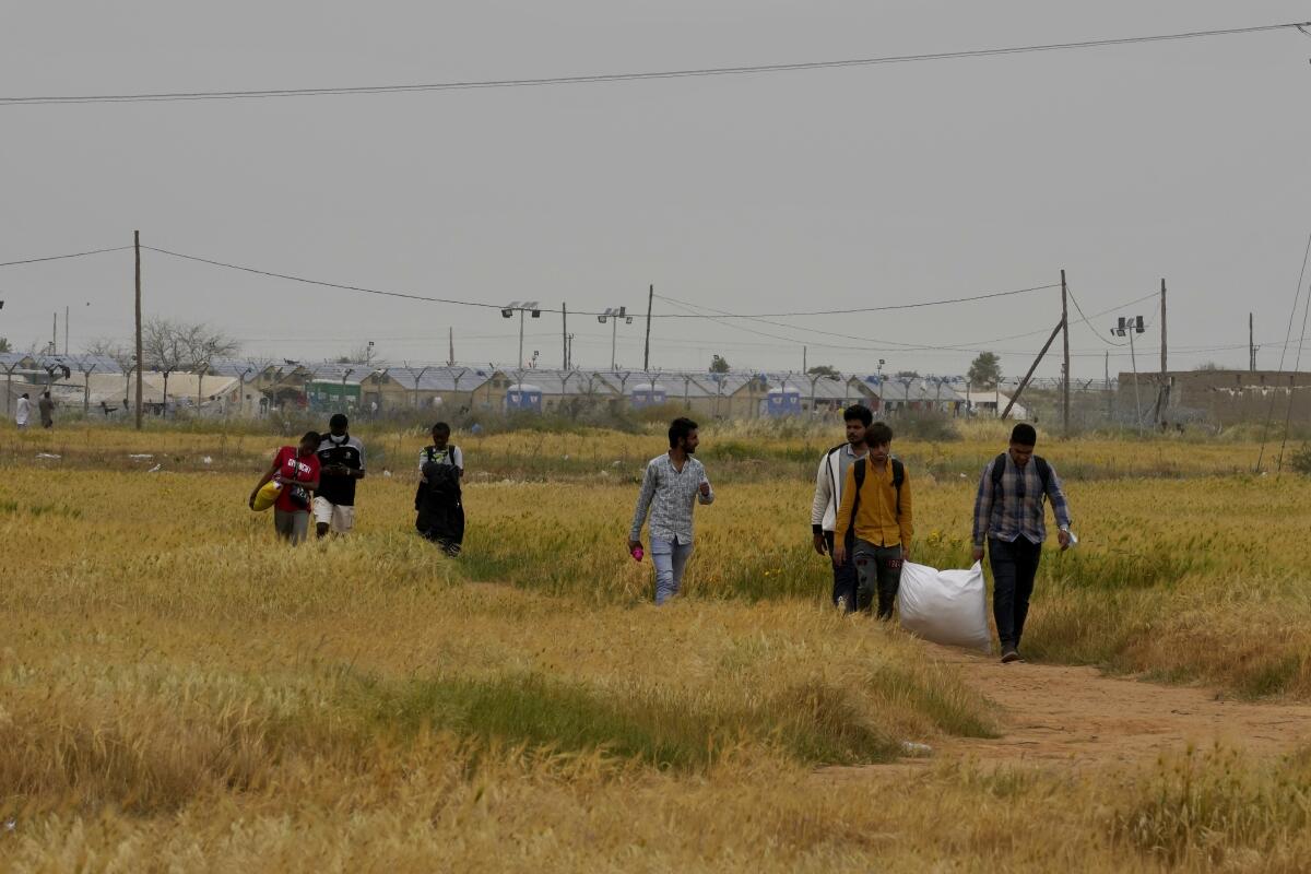 Migrants walk through a field carrying belongings. 