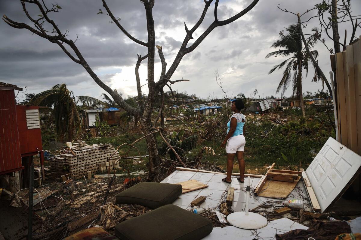 Mirian Medina surveys her devastated property in San Isidro, Puerto Rico, weeks after Hurricane Maria struck the island.