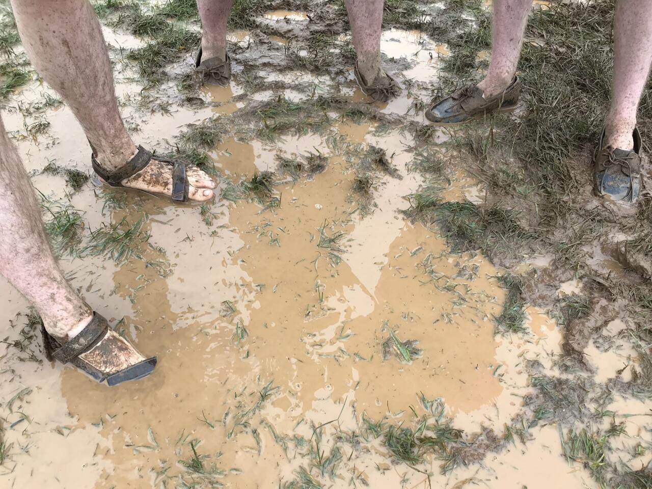 Muddy infield