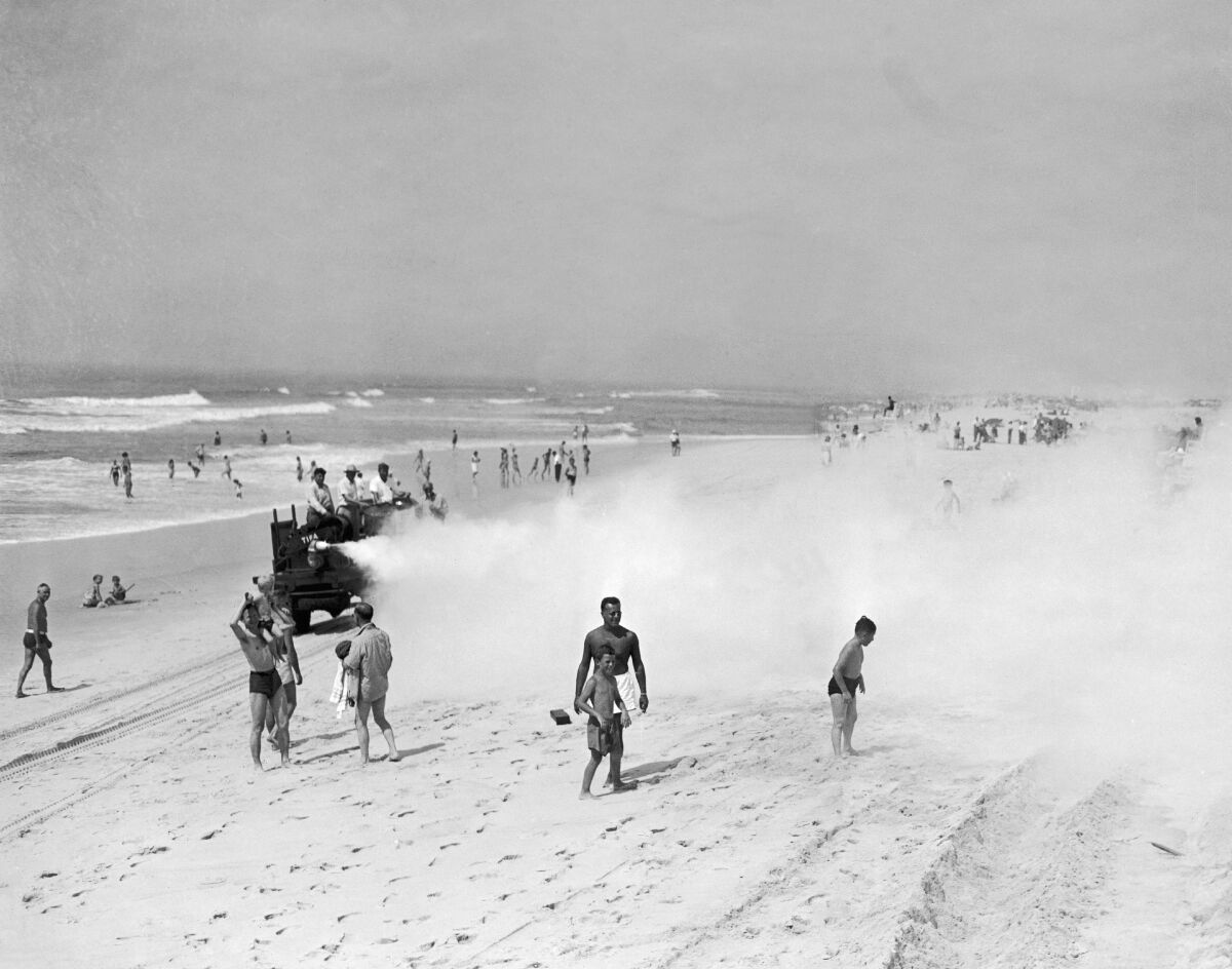 Beachgoers stand amid a fog of pesticide.
