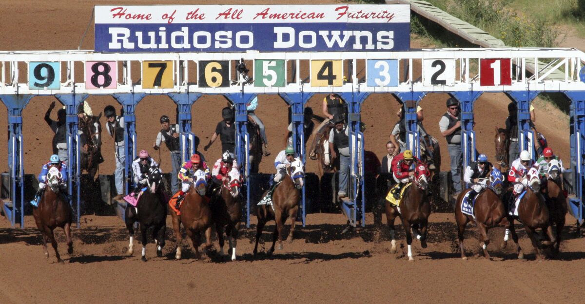 FILE - Horses leave the starting gate at Ruidoso Downs Racetrack and Casino in Ruidoso, N.M., on Sept. 6, 2010. New Mexico regulators on Monday, July 11, 2022, said several horses that were feared dead by animal advocates following a weekend of racing at one of the state's premiere horse tracks are alive and well. Officials with the New Mexico Racing Commission said only one animal died after being injured during recent trials at Ruidoso Downs and that photographs and veterinary reports submitted to the state show the other seven were in their stalls and were fine. (Rudy Gutierrez/The El Paso Times via AP, File)