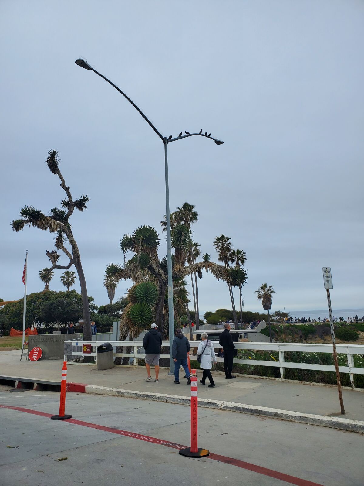 A fallen light pole at La Jolla Cove was replaced March 10.