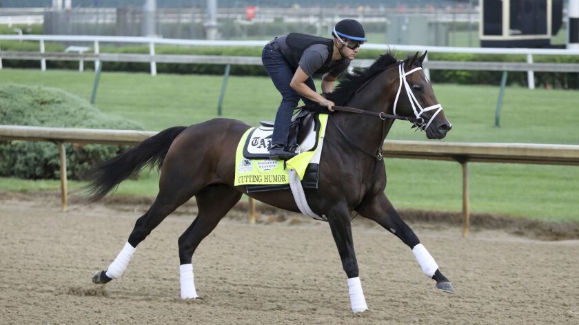 Humor cortante participa de uma corrida de treinamento em Churchill Downs em 2 de Maio.