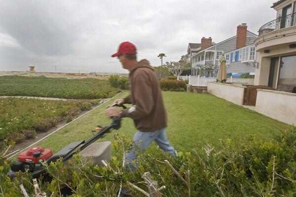 Landscaping the beach