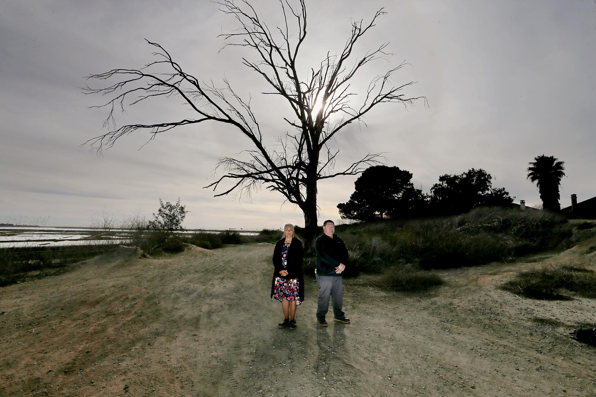 Two people stand near a bare tree at a nature site  