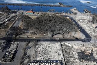 Lahaina, Maui, Thursday, August 11, 2023 - The iconic Banyan tree stands among the rubble of burned buildings days after a catastrophic wildfire swept through the city. (Robert Gauthier/Los Angeles Times)