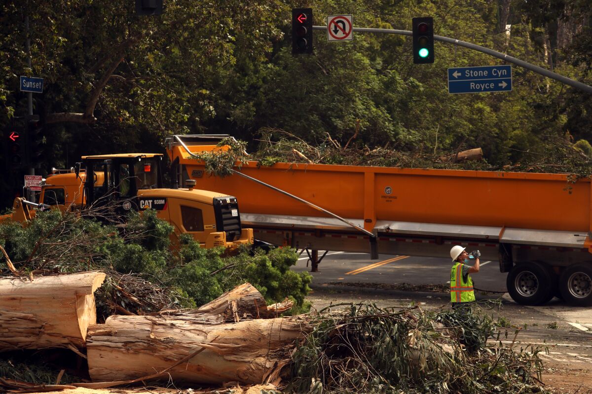 A Public Works Street Services worker drinks water while helping to remove two trees that fell across Sunset Boulevard. 