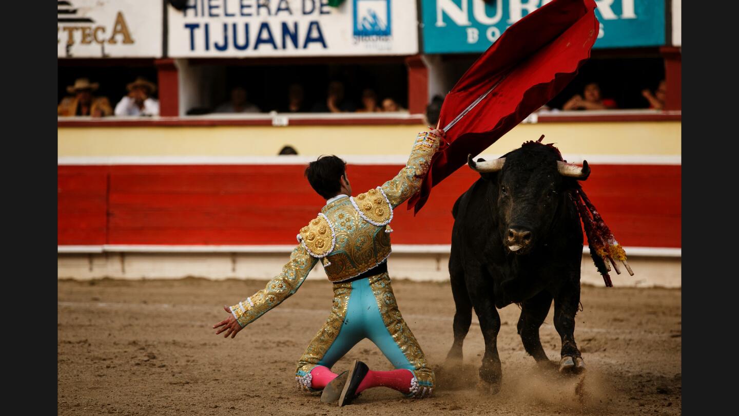 Bullfighting in Tijuana