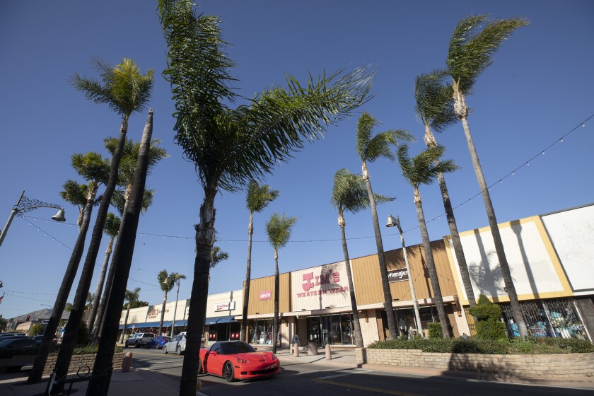 Palm fronds in trees near a strip mall get blown about by high winds.