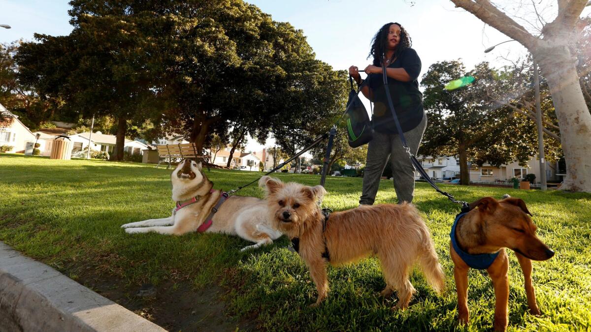 Karen Dacres, standing in Monteith Park, prepares to walk her dogs Akira, from left, Benji and Campeon, through the View Park area in Los Angeles.
