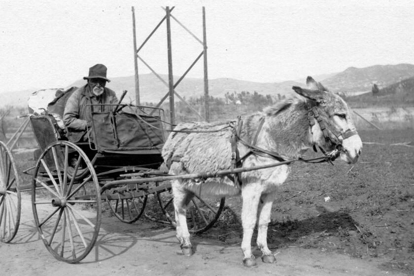 Jose Antonio Morales in the San Pasqual Valley 1920. (ONE TIME USE)