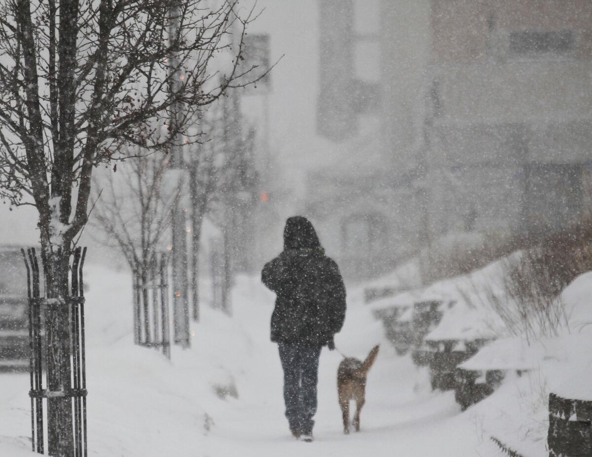 Mike Ashley walks his 6-year-old collie-lab mix, Riley, in Muskegon, Mich. A deep freeze is expected to arrive over the Midwest Sunday with potential record-low temperatures, heightening fears of frostbite and hypothermia.