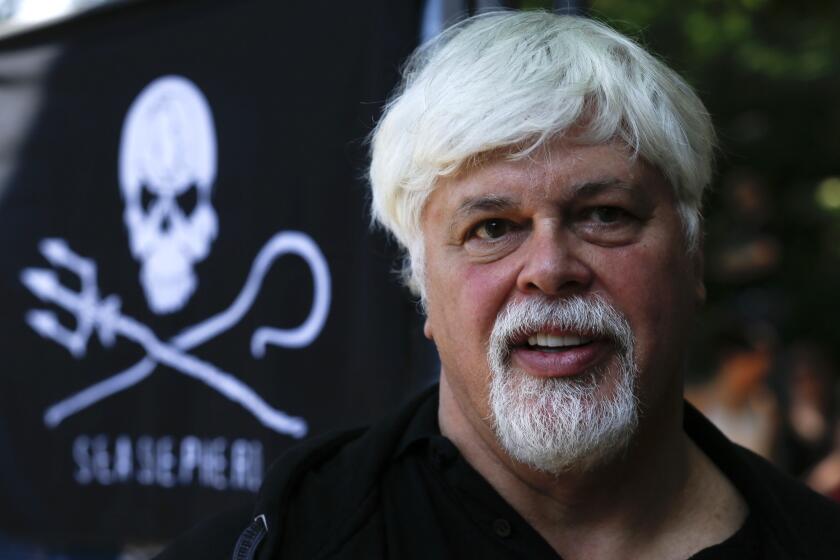 FILE - Paul Watson, then founder and President of the animal rights and environmental Sea Shepherd Conservation, attends a demonstration against the Costa Rican government near Germany's President residence during a visit of Costa Rica's president in Berlin, Germany, on Wednesday, May 23, 2012. Greenland police said they arrested Watson on Sunday, July 21, 2024, on an international arrest warrant issued by Japan. (AP Photo/Markus Schreiber, file)