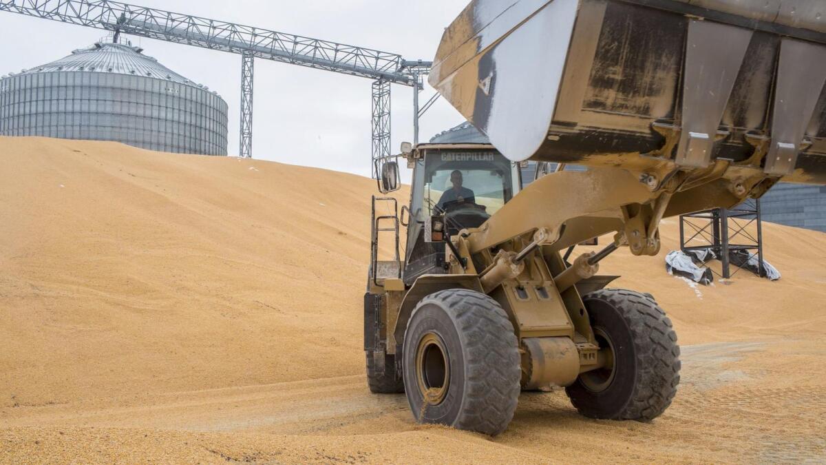 En Iowa, el principal estado productor de maíz, que exportó el 75% de su cereal a México el año pasado, la amenaza de boicotear estas importaciones generó grandes preocupaciones.