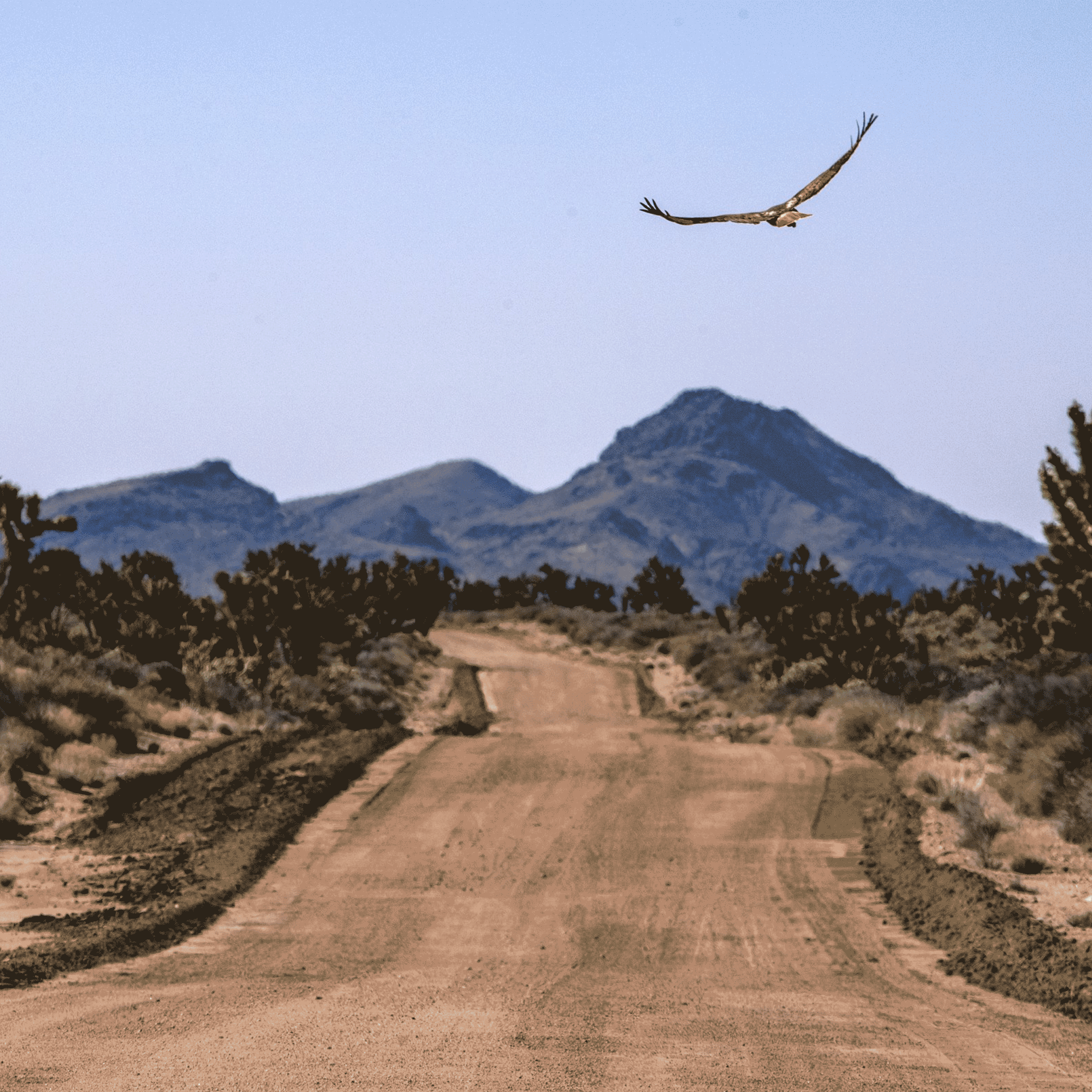 A GIF of three desert scenes: a cave, a dirt road and a shallow body of water.
