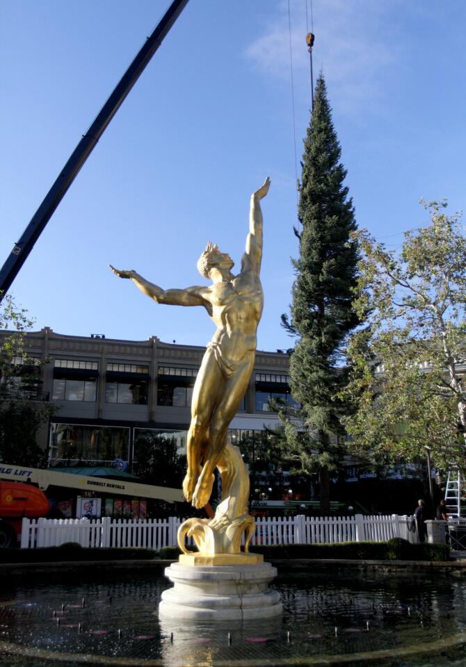 The golden statue at the Americana at Brand seems to be presenting the arrival of the Christmas tree at the outdoor mall in Glendale on Tuesday morning, November 3, 2015. The more-than-100-foot tall white fir pine tree comes from Mt. Shasta and will glow with more than 15,000 sparkling lights and 10,000 ornaments.