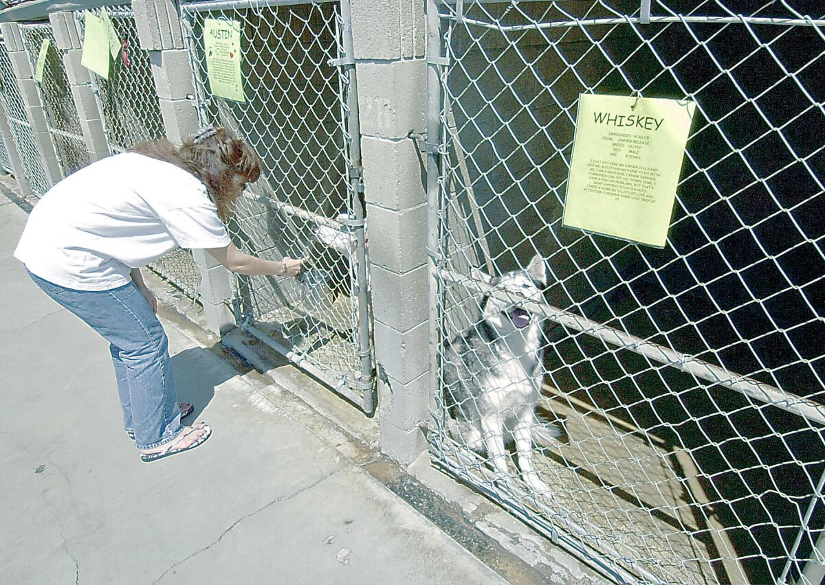 The Orange County Humane Society animal shelter in Huntington Beach has lost its contract with the city of Newport Beach amid allegations of poor conditions.