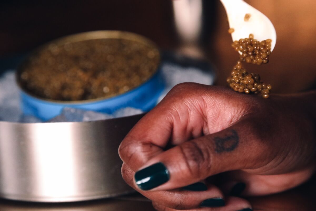 'Caviar bumps' are $12 a pop at Grandmaster Recorders in Hollywood, the legendary recording studio turned restaurant.