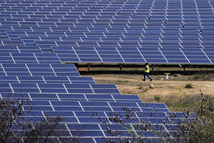 A man walks through a solar plant, an Adani Group project, in Ramanapeta, in the Indian southern state of Telangana, Wednesday, March 22, 2023. Gautam Adani and his companies lost tens of billions of dollars and the stock for his green energy companies have plummeted. Despite Adani's renewable energy targets accounting for 10% of India's clean energy goals, some analysts say Adani's woes won't likely hurt India's energy transition. (AP Photo/Mahesh Kumar A.)
