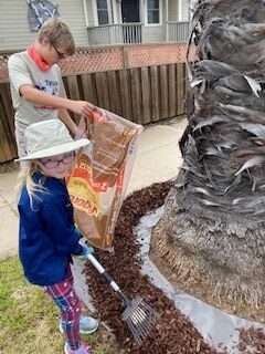 Lorelei and Killian Treppa helped neighbors in Ocean Beach recently as Killian weeded around a palm tree and he and Lorelei laid barrier fabric and mulch to complete the job.