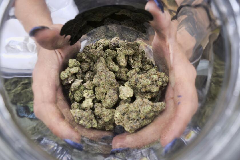 FILE - In this April 21, 2018, file photo a bud tender displays a jar of cannabis at the High Times 420 SoCal Cannabis Cup in San Bernardino, Calif. California faced off in court Thursday, Aug. 6, 2020, against some of its own cities that want to overturn a government rule allowing home marijuana deliveries statewide, even into communities that banned commercial pot sales. (AP Photo/Richard Vogel, File)
