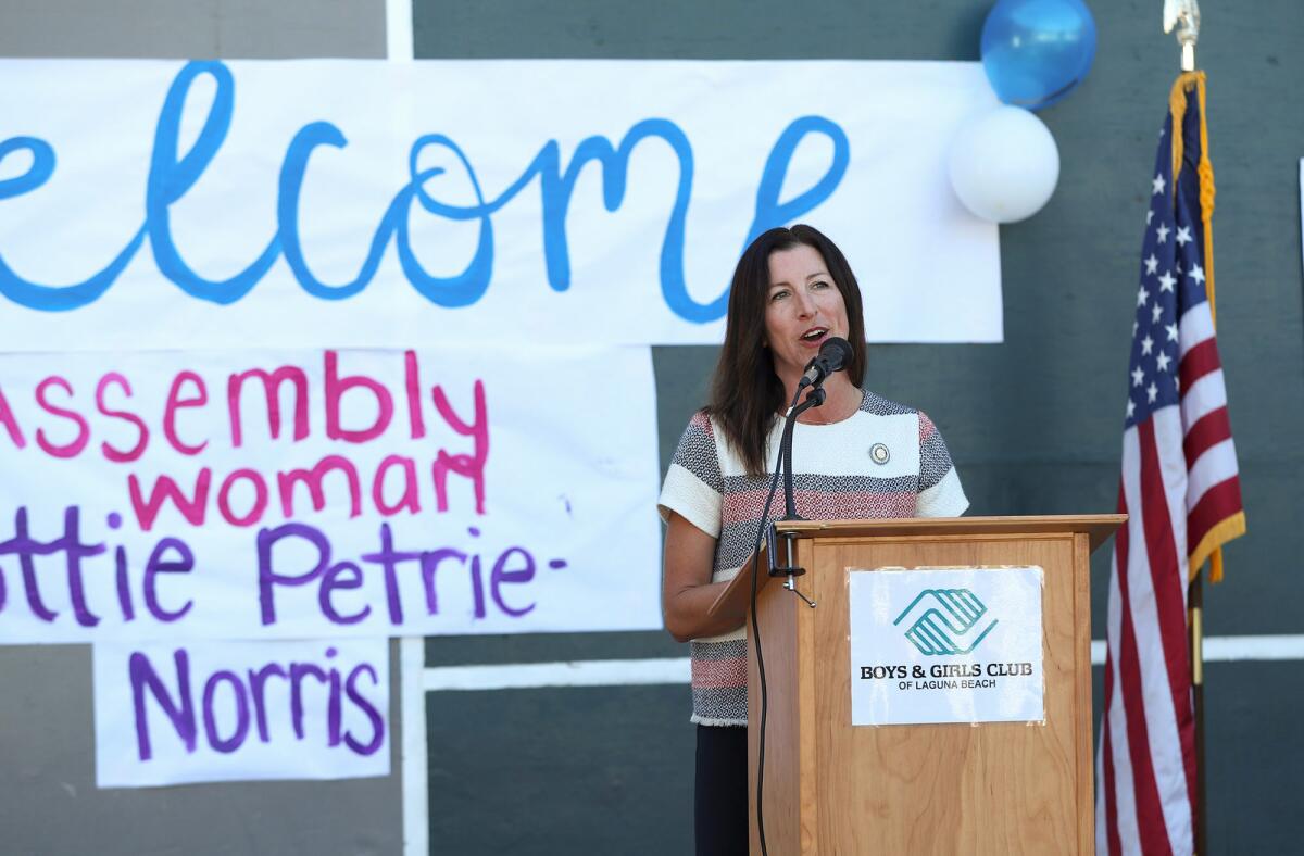 State Assemblywoman Cottie Petrie-Norris makes comments during a check presentation at the Boys & Girls Club on Wednesday.