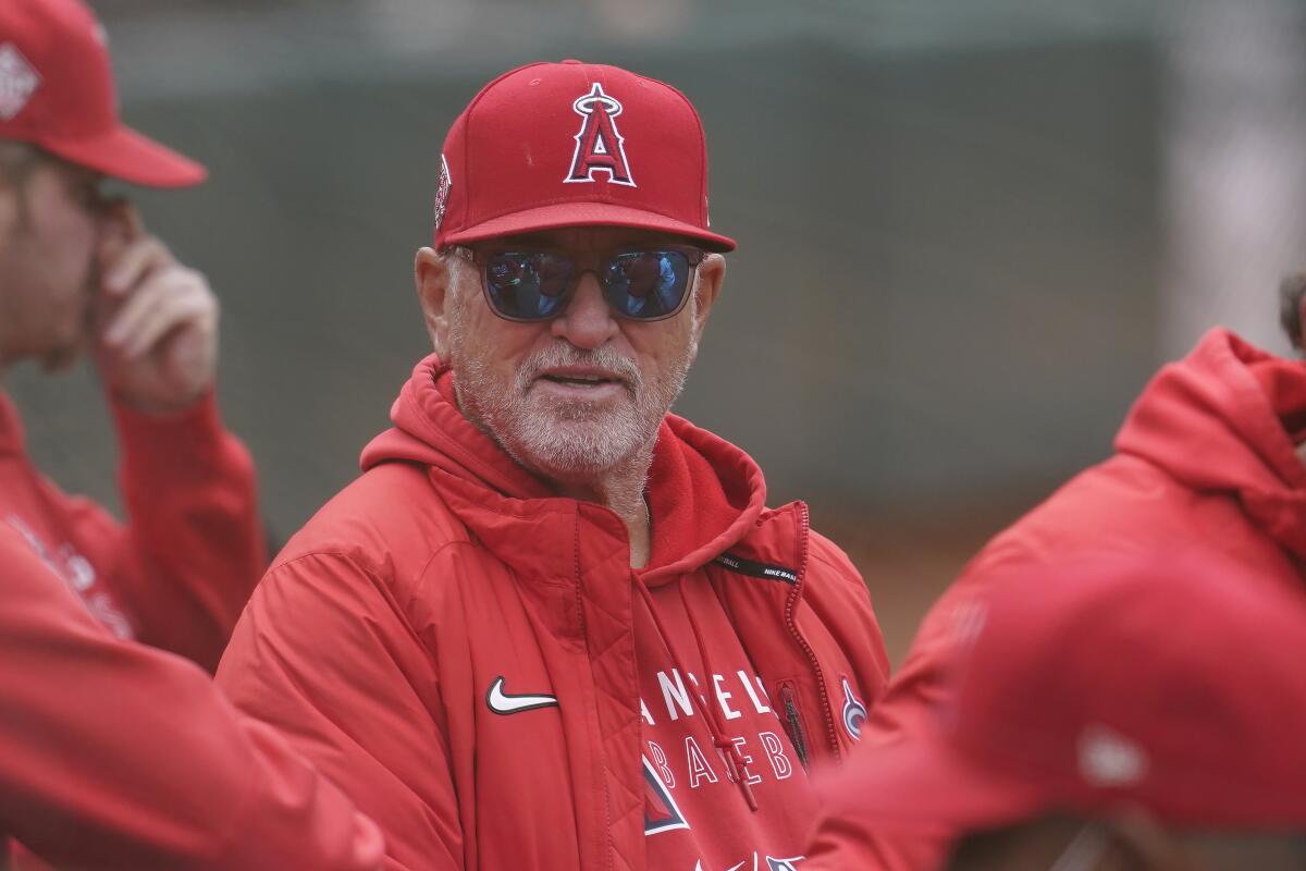 Angels manager Joe Maddon looks on during a game against the Oakland Athletics on May 29.