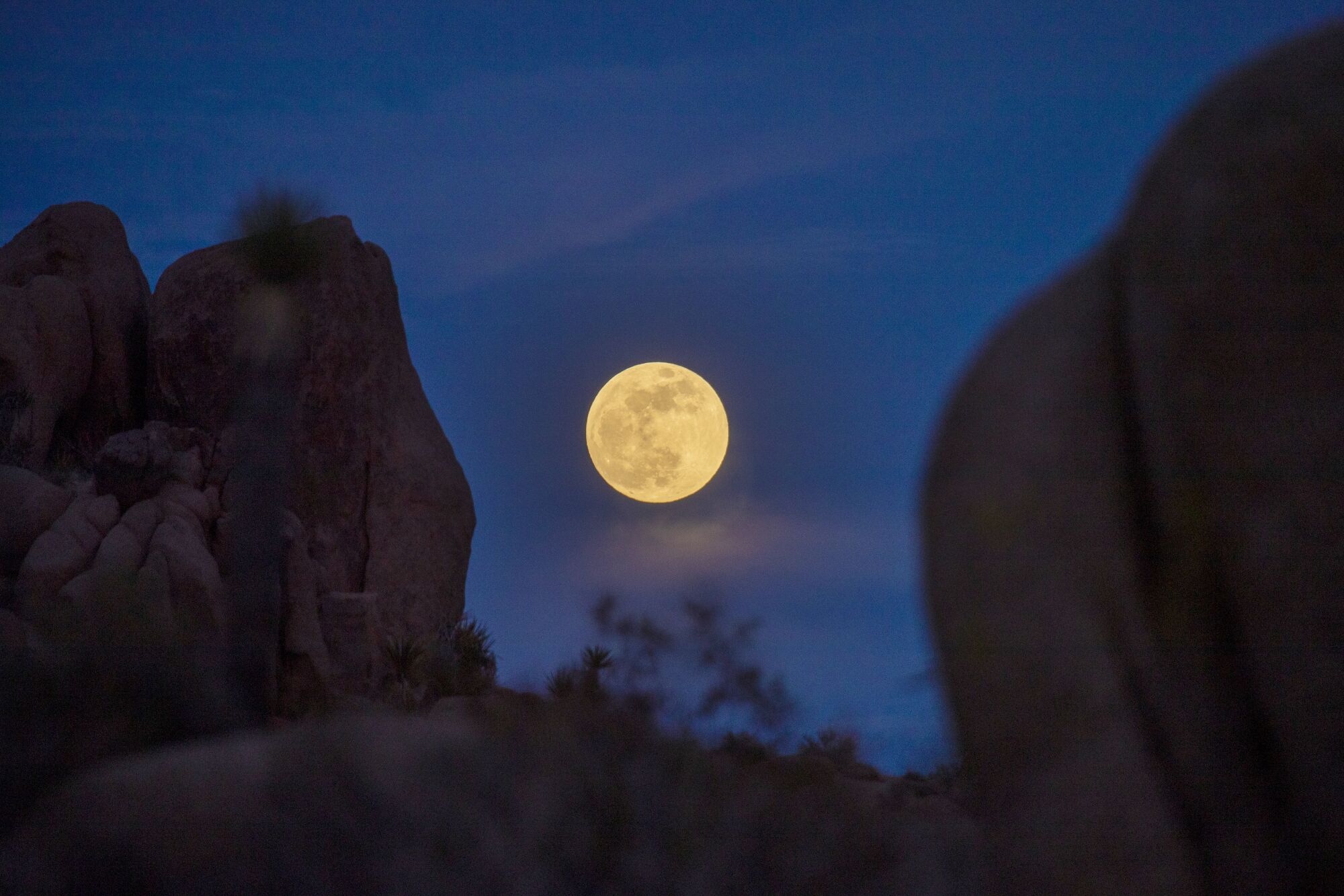 Super flower moon: 12 photos from to L.A. - Los Angeles Times